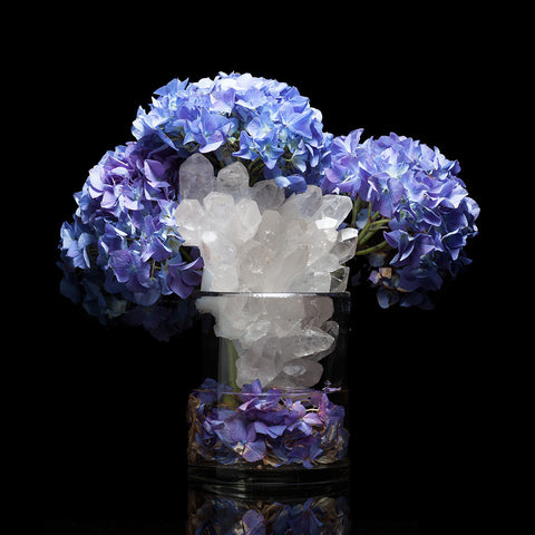 Violet Hydrangea