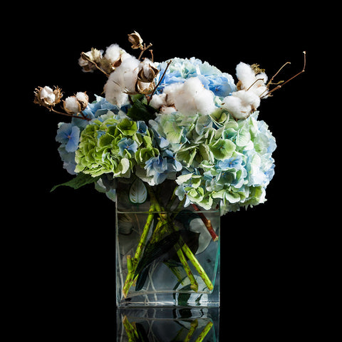 Hydrangea & Cotton