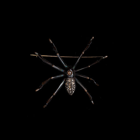 Spider Pin