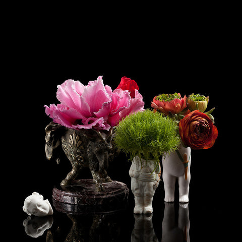 Cyclamen Stems, Green Trixx & Ranunculus