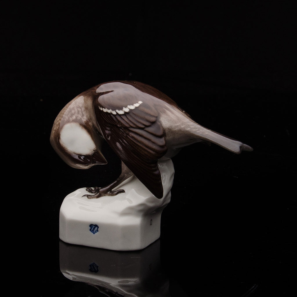 Sparrow