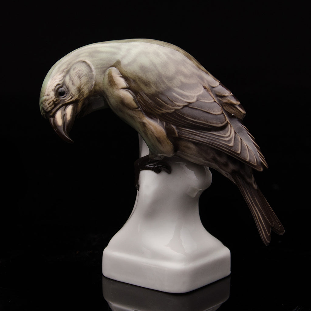Crossbill